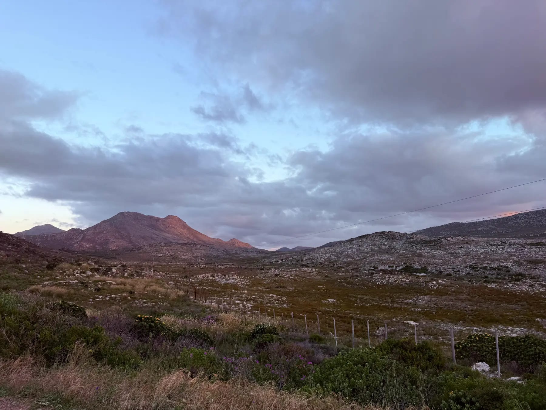 Fynbos landscape in Scarborough